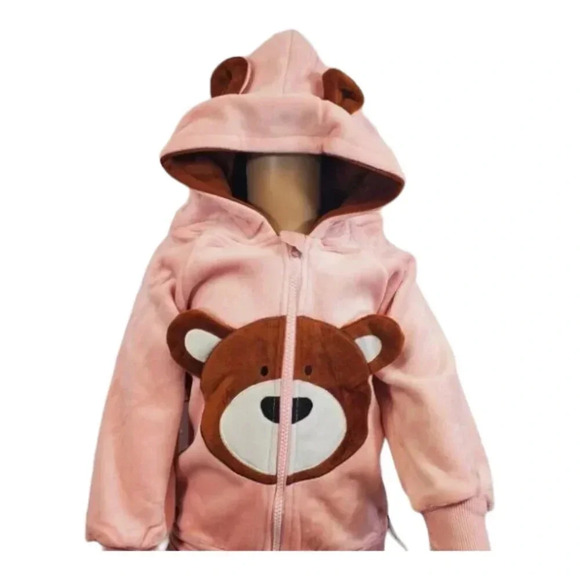 3T Toddler Pink Teddy Bear 2 piece Hoodie and Pants Velvet Outfit Set - Picture 3 of 12